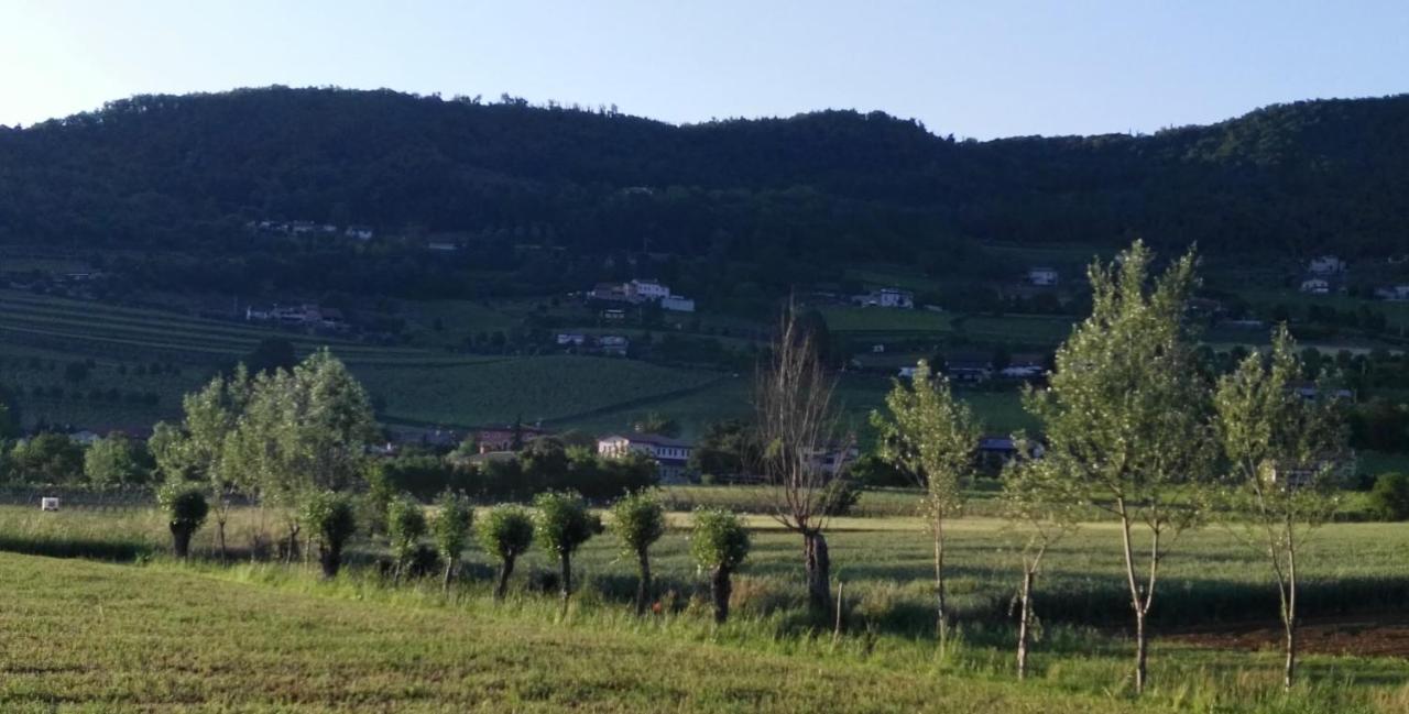 La Pergola Alloggio Brendola Zewnętrze zdjęcie